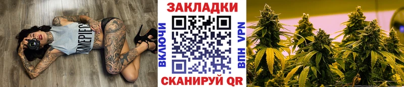 Магазины продажи наркотиков Алатырь ГАШ А ПВП Меф мяу мяу Псилоцибиновые грибы COCAIN