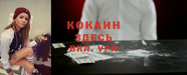 индика Наволоки