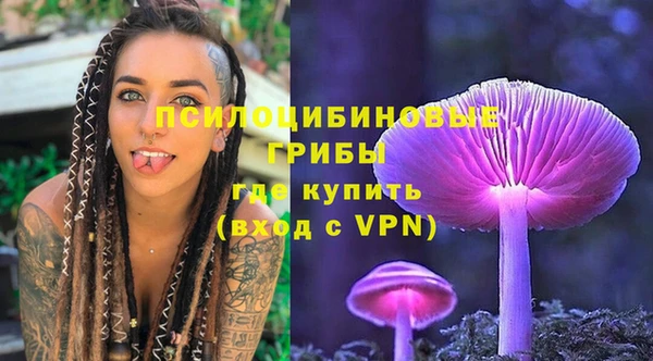 эйфоретик Надым