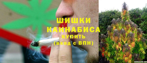 индика Наволоки